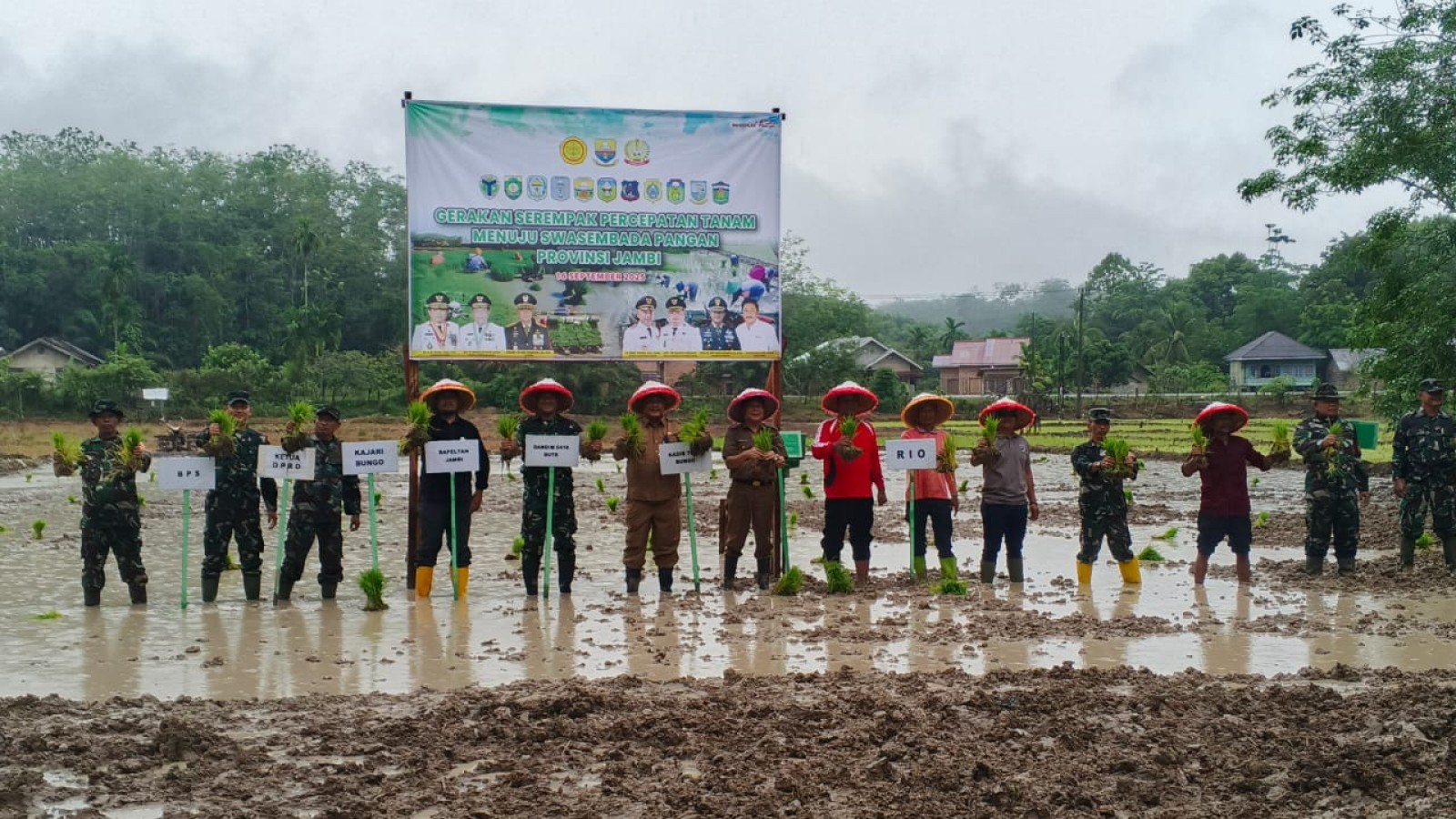 Percepatan Tanam di Bungo, 57 Hektare Sawah Digarap Serentak Menuju Swasembada Pangan
