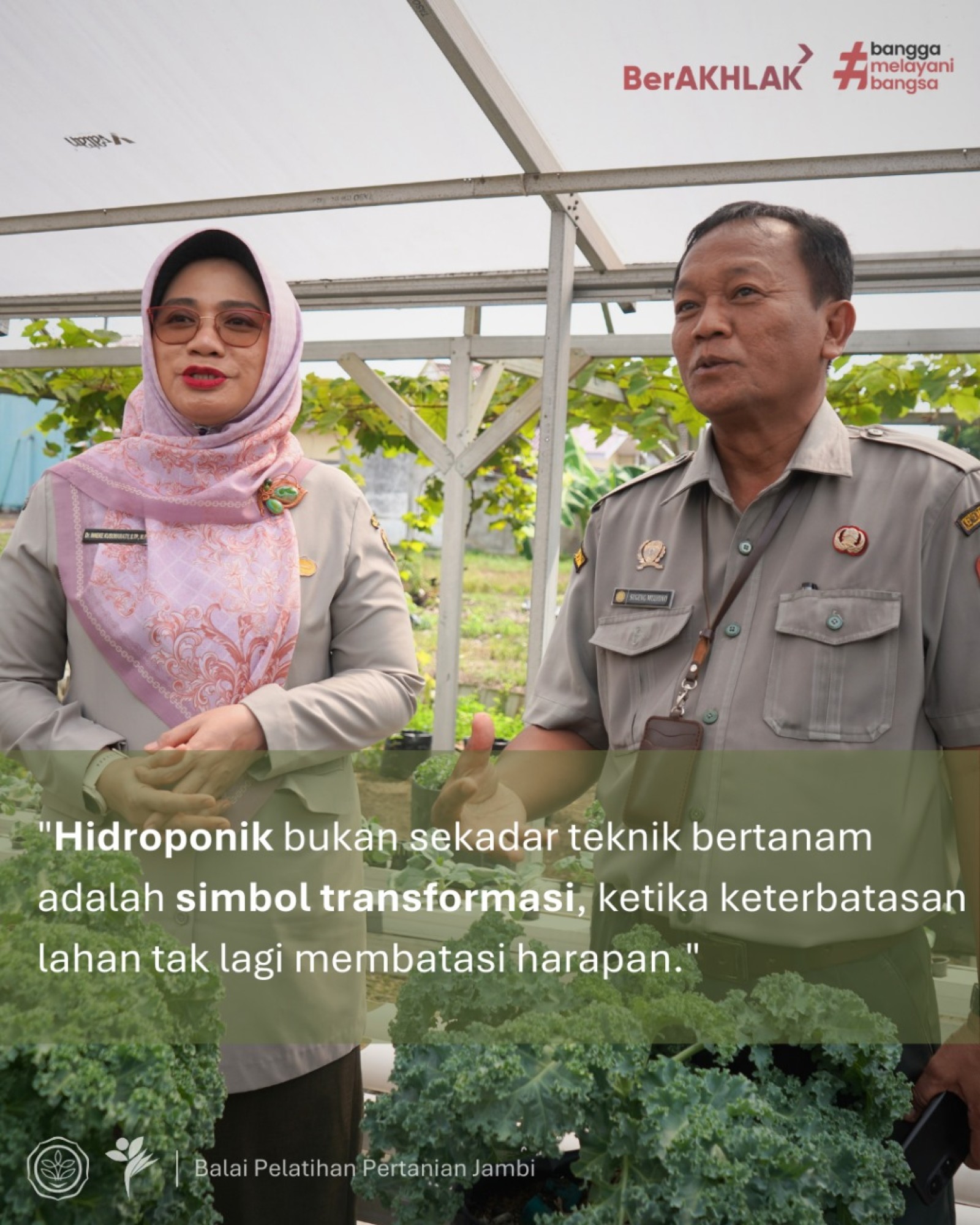 Hidroponik Bukti Transformasi Teknologi